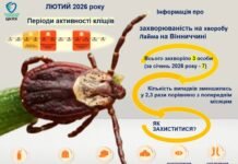 Хвороба Лайма на Вінниччині: підсумки лютого та поради з безпеки напередодні сезону