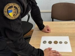 Раритети в бардачку: на Вінниччині виявили незадекларовані монети 17-20 століть