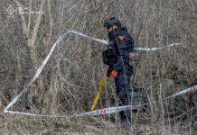 На Вінниччині сапери знищили два артилерійські снаряди