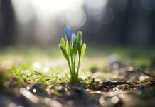 Прогноз погоди у Вінниці на 23 березня