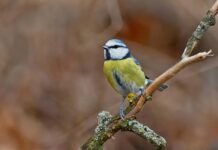 Якою буде погода у Вінниці 24 березня