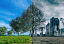 На Вінниччині екологічні порушення завдали довкіллю понад 146 млн грн збитків