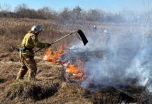 На Вінниччині вигоріло понад гектар сухої рослинності