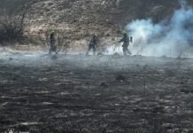 На Вінниччині вигоріло понад 2 гектари сухостою