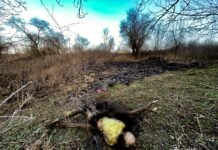 На Вінниччині загинула пенсіонерка, яка намагалася самотужки загасити полум’я