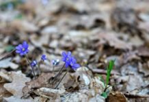 Погода у Вінниці на вівторок, 17 березня