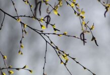 Прогноз погоди у Вінниці на 2 березня