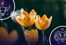 Гороскоп на середу: кому пощастить у справах і рішеннях