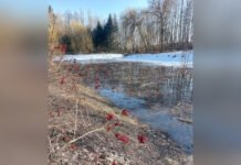 На Вінниччині активісти наводять лад у струмках і джерелах Росі