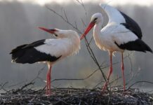 Сонячно та без опадів: прогноз погоди у Вінниці на суботу, 7 березня