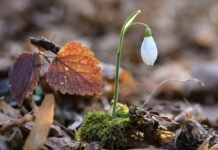 Прогноз погоди у Вінниці на 15 березня