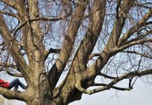 Якою буде погода у Вінниці 4 березня