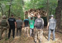 6,5 мільйонів збитків на заповідних деревах: справу про рубку в «Кармелюковому Поділлі» передано до суду