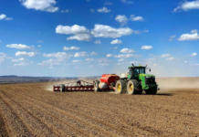 Аграрії Вінниччини розпочали весняну посівну: озимі відновили вегетацію