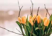 Прогноз погоди у Вінниці 8 березня