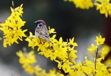 Прогноз погоди у Вінниці 2 квітня