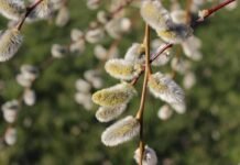 Прогноз погоди у Вінниці на 5 квітня