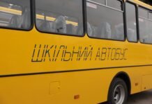 Громадам слід дозволити самостійно закуповувати шкільні автобуси — Лариса Білозір