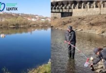 Ситуація на Дністрі стабілізувалася: вміст нафтопродуктів у воді значно нижчий за норму