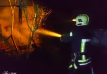 Понад тисячу пожеж від початку року: на Вінниччині зростає кількість загорянь