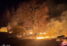 У громадах Вінниччини борються з масштабними загоряннями