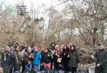 У Вінниці до Дня довкілля очистили понад три кілометри узбережжя Південного Бугу