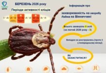 Хвороба Лайма на Вінниччині: підсумки березня та поради фахівців на порозі сезону