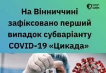 Нова мутація на Вінниччині: в області зафіксовано перший випадок субваріанту COVID-19 «Цикада»