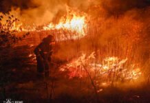 На Вінниччині вже 409 пожеж сухої рослинності від початку року
