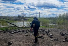 У громаді на Вінниччині виявили боєприпаси часів Другої світової