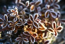 Прогноз погоди у Вінниці 15 квітня