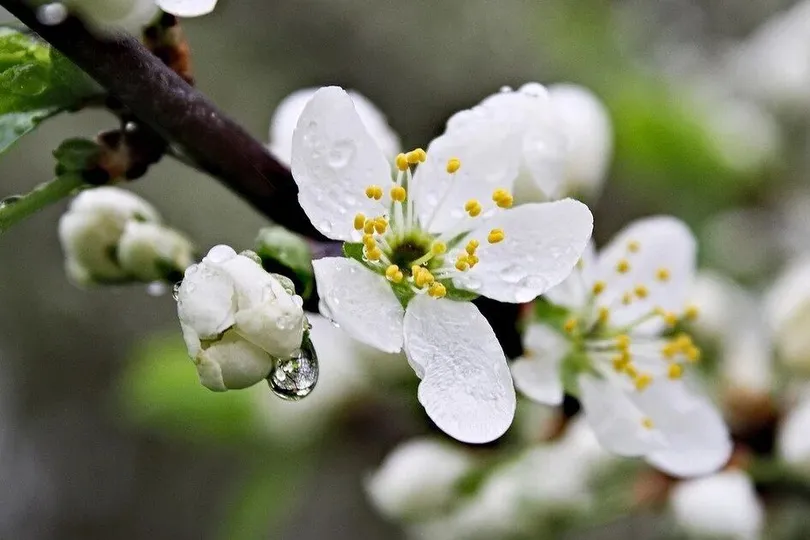Якою буде погода у Вінниці 22 квітня