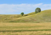 На Вінниччині державі повернули 8 гектарів землі з археологічною пам’яткою