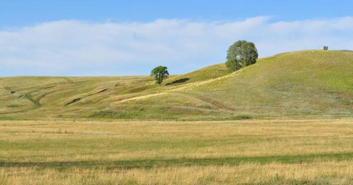 На Вінниччині державі повернули 8 гектарів землі з археологічною пам’яткою