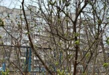 У Вінниці проводять ремонт мереж: де тимчасово не буде води та світла