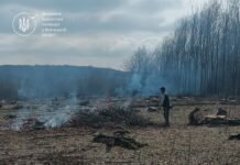 На Вінниччині оштрафували чоловіка за спалювання решток біля лісу