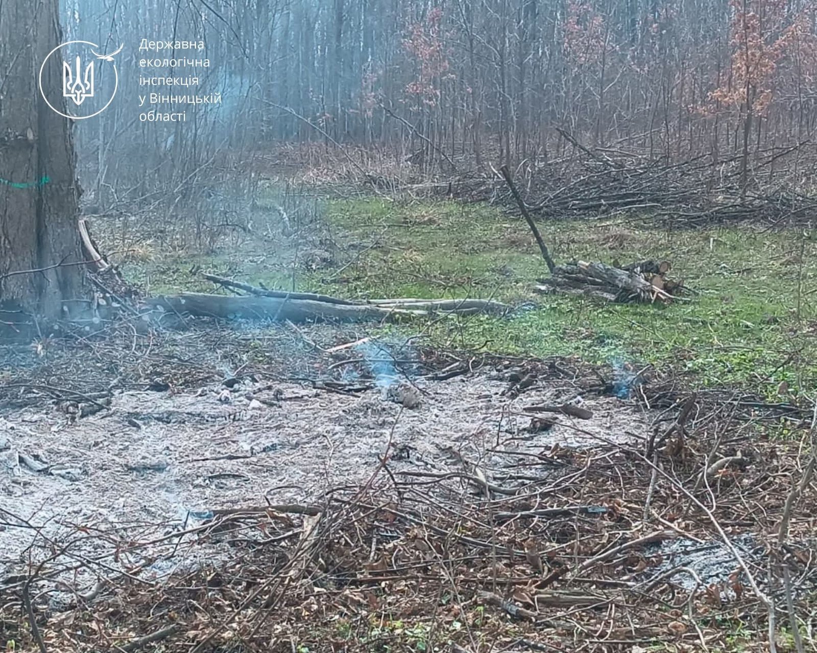 На Вінниччині оштрафували чоловіка за спалювання решток біля лісу