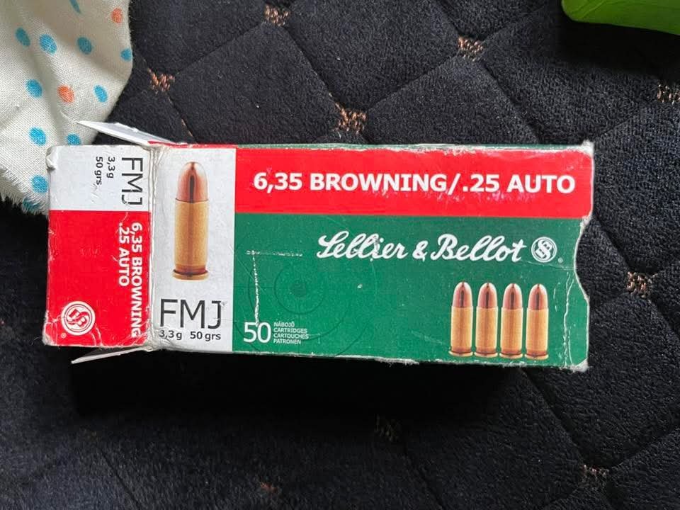 На кордоні з Молдовою виявили пістолет і 45 набоїв у іноземця