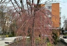 За якими адресами у Вінниці сьогодні ремонтують мережі