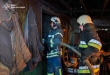 На Вінниччині через пожежу загинула 87-річна жінка