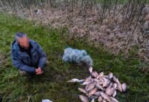 На Вінниччині викрили незаконний вилов риби: збитки перевищили 81 тисячу