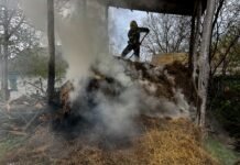 На Вінниччині через дитячі пустощі з вогнем загорівся сіновал