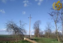 Шквальний вітер знеструмив на Вінниччині 163 населені пункти