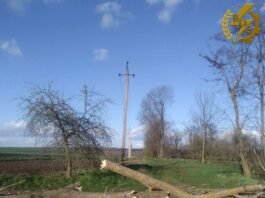 Шквальний вітер знеструмив на Вінниччині 163 населені пункти