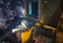 На Вінниччині за добу сталося 15 пожеж