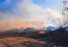 На Вінниччині вогонь знищив понад 3 гектари відкритих територій