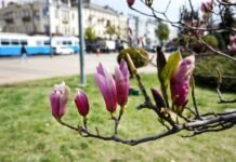 У Вінниці тривають ремонти мереж: де тимчасово відключили воду та світло