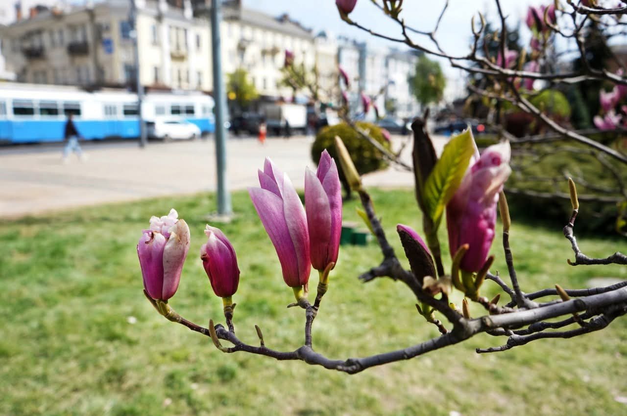 У Вінниці тривають ремонти мереж: де тимчасово відключили воду та світло