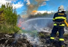 Понад два гектари вигоріло: на Вінниччині фіксують сплеск пожеж