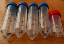 У Вінницькій області зросла активність кліщів після потепління